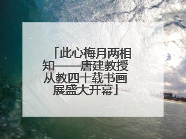此心梅月两相知——唐建教授从教四十载书画展盛大开幕