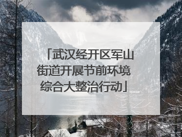 武汉经开区军山街道开展节前环境综合大整治行动