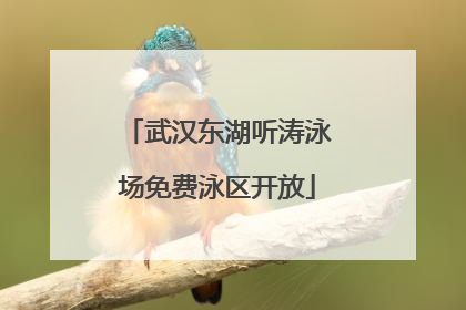 武汉东湖听涛泳场免费泳区开放