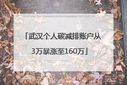 武汉个人碳减排账户从3万暴涨至160万
