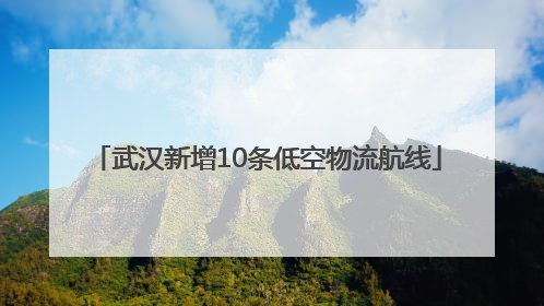 武汉新增10条低空物流航线