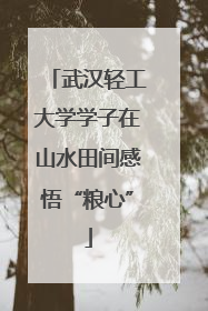 武汉轻工大学学子在山水田间感悟“粮心”