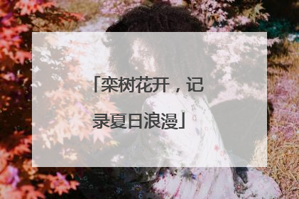 栾树花开，记录夏日浪漫