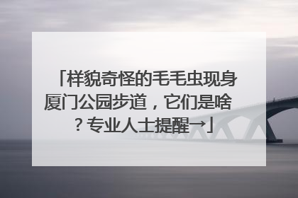 样貌奇怪的毛毛虫现身厦门公园步道，它们是啥？专业人士提醒→