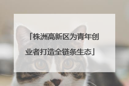 株洲高新区为青年创业者打造全链条生态