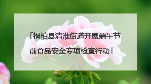 桐柏县清淮街道开展端午节前食品安全专项检查行动