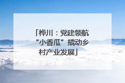 桦川：党建领航“小香瓜”撬动乡村产业发展
