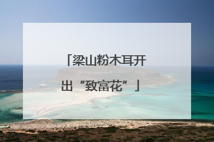 梁山粉木耳开出“致富花”