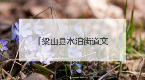 梁山县水泊街道文昌阁社区帮助高龄老人解决智能难题