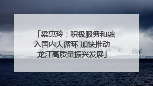 梁惠玲：积极服务和融入国内大循环 加快推动龙江高质量振兴发展