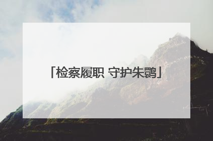 检察履职 守护朱鹮