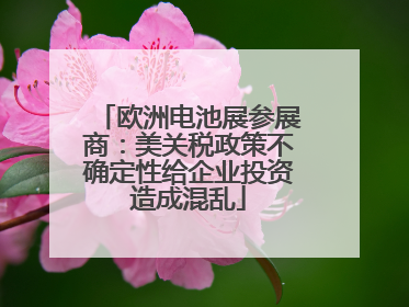欧洲电池展参展商：美关税政策不确定性给企业投资造成混乱