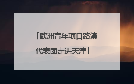欧洲青年项目路演代表团走进天津