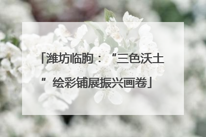 潍坊临朐：“三色沃土”绘彩铺展振兴画卷