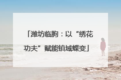 潍坊临朐：以“绣花功夫”赋能镇域蝶变