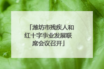 潍坊市残疾人和红十字事业发展联席会议召开
