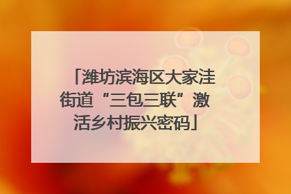 潍坊滨海区大家洼街道“三包三联”激活乡村振兴密码