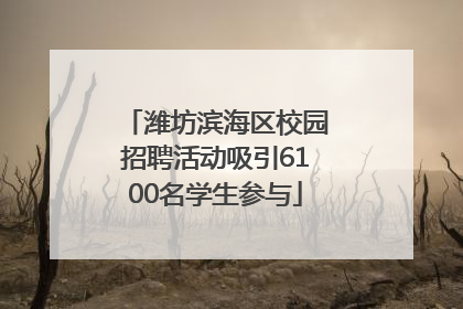 潍坊滨海区校园招聘活动吸引6100名学生参与