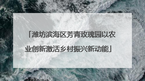 潍坊滨海区芳青玫瑰园以农业创新激活乡村振兴新动能