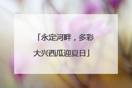 永定河畔，多彩大兴西瓜迎夏日