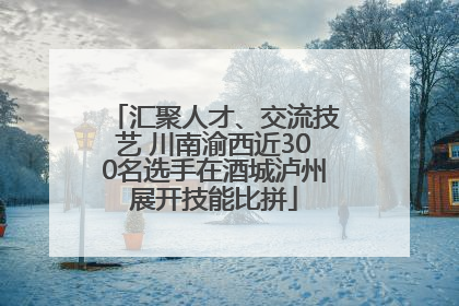 汇聚人才、交流技艺 川南渝西近300名选手在酒城泸州展开技能比拼
