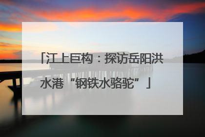 江上巨构：探访岳阳洪水港“钢铁水骆驼”
