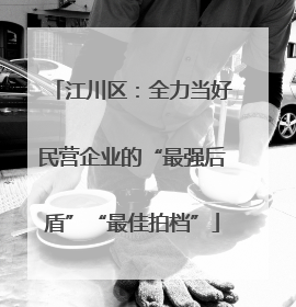 江川区：全力当好民营企业的“最强后盾”“最佳拍档”