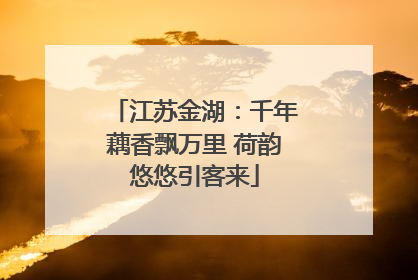 江苏金湖：千年藕香飘万里 荷韵悠悠引客来
