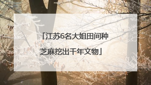 江苏6名大姐田间种芝麻挖出千年文物