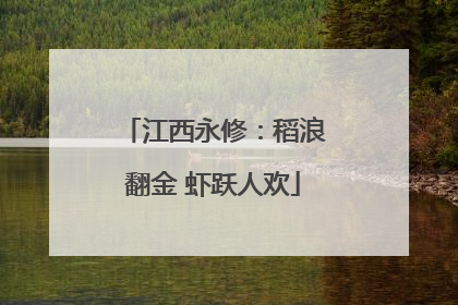 江西永修：稻浪翻金 虾跃人欢