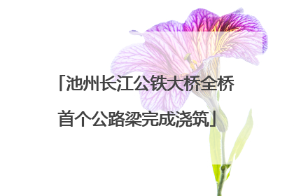 池州长江公铁大桥全桥首个公路梁完成浇筑