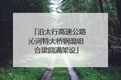 沿太行高速公路沁河特大桥钢混组合梁圆满架设