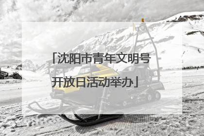 沈阳市青年文明号开放日活动举办