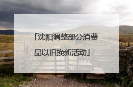 沈阳调整部分消费品以旧换新活动
