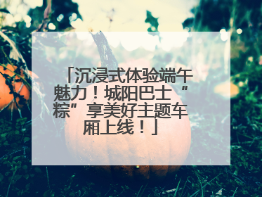 沉浸式体验端午魅力！城阳巴士“粽”享美好主题车厢上线！