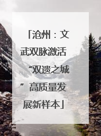 沧州：文武双脉激活“双遗之城”高质量发展新样本