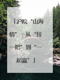 沪皖“山海情”：从“拉一把”到“一起赢”