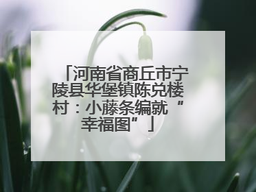 河南省商丘市宁陵县华堡镇陈兑楼村：小藤条编就“幸福图”