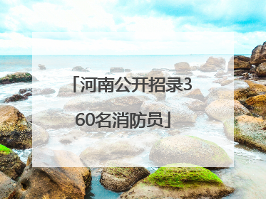 河南公开招录360名消防员