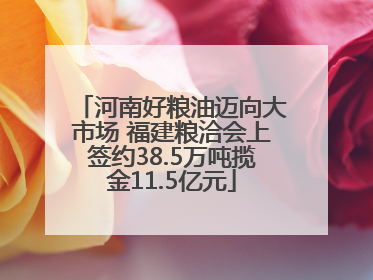 河南好粮油迈向大市场 福建粮洽会上签约38.5万吨揽金11.5亿元