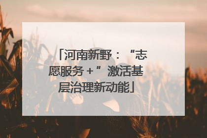 河南新野：“志愿服务＋”激活基层治理新动能