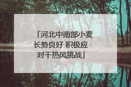 河北中南部小麦长势良好 积极应对干热风挑战