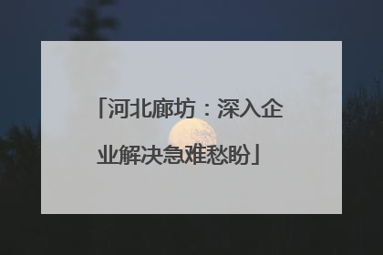 河北廊坊：深入企业解决急难愁盼