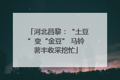 河北昌黎：“土豆”变“金豆” 马铃薯丰收采挖忙