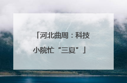 河北曲周：科技小院忙“三夏”