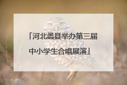 河北蠡县举办第三届中小学生合唱展演