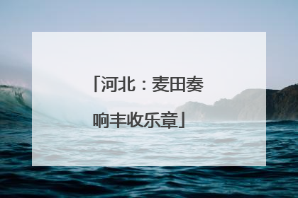 河北：麦田奏响丰收乐章