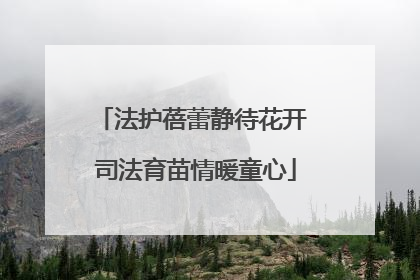 法护蓓蕾静待花开 司法育苗情暖童心