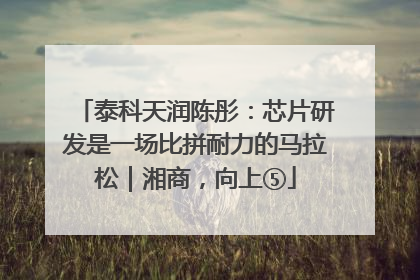 泰科天润陈彤：芯片研发是一场比拼耐力的马拉松｜湘商，向上⑤