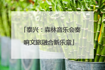 泰兴：森林音乐会奏响文旅融合新乐章